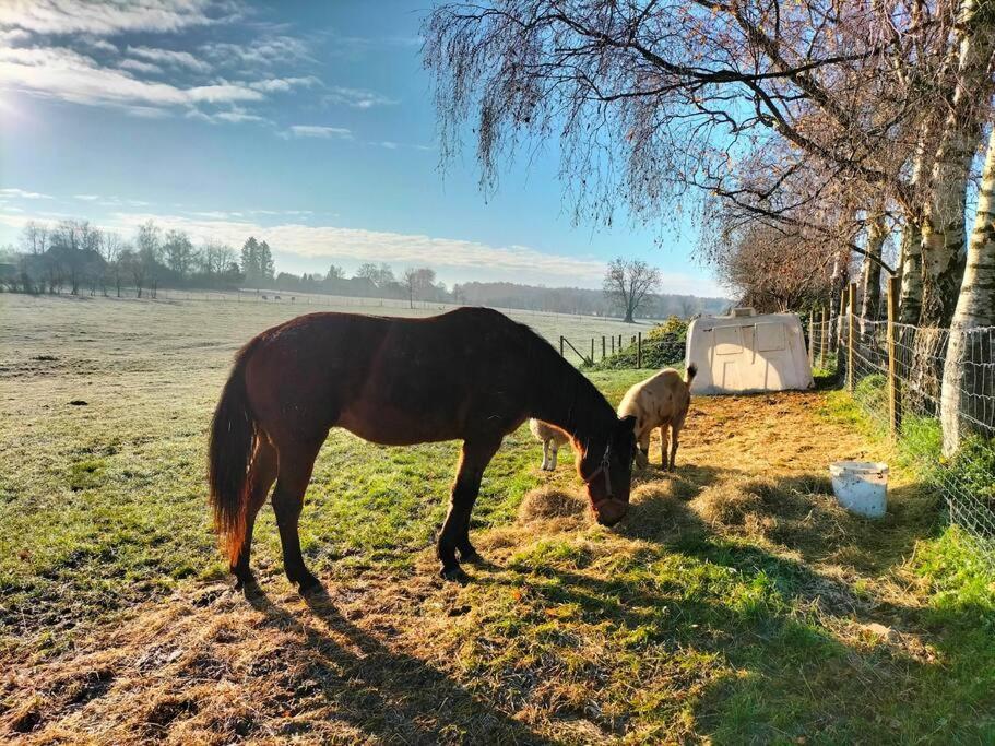 Gite La Dame Au Lit Gite A La Ferme Momignies Dış mekan fotoğraf