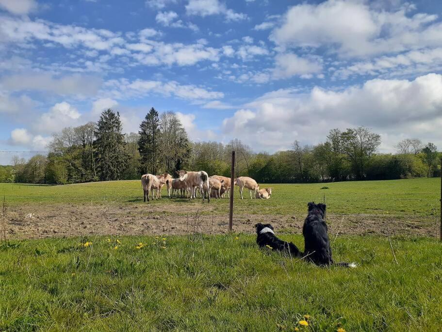Gite La Dame Au Lit Gite A La Ferme Momignies Dış mekan fotoğraf